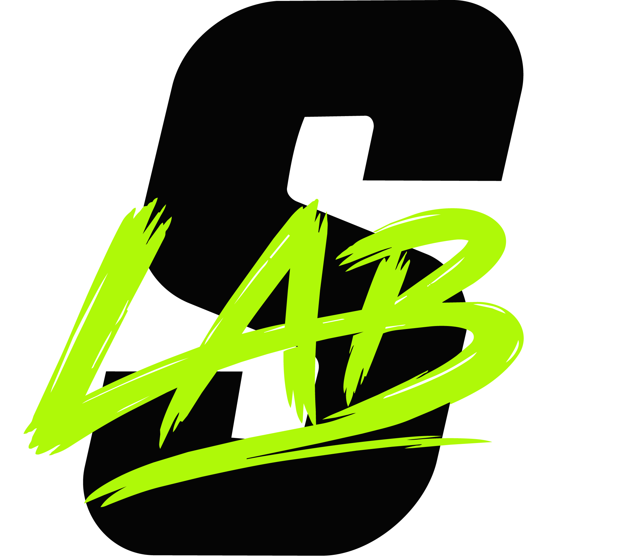 Sportiva LAB